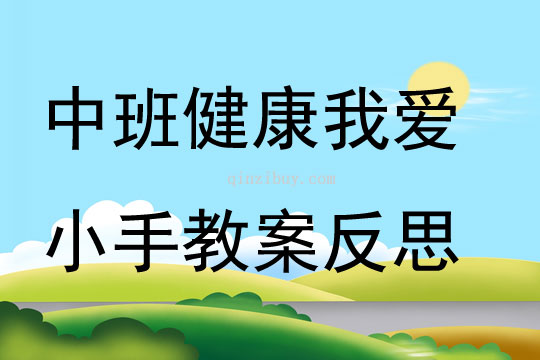 中班健康優質課我愛小手教案反思