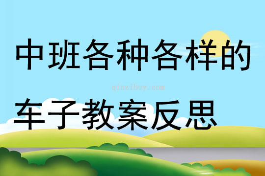 中班主題公開課各種各樣的車子教案反思