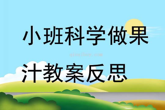 小班科學做果汁教案反思