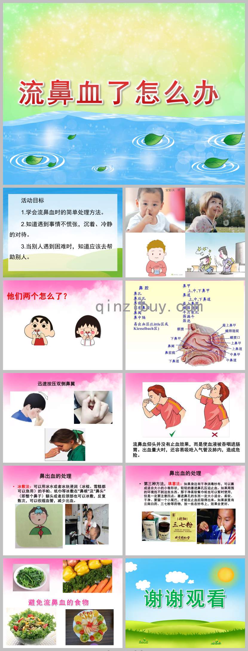 鼻子流血怎么辦PPT課件教案圖片