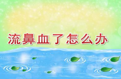 鼻子流血怎么辦PPT課件教案圖片