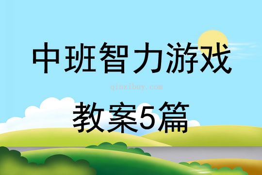 中班智力游戲教案5篇