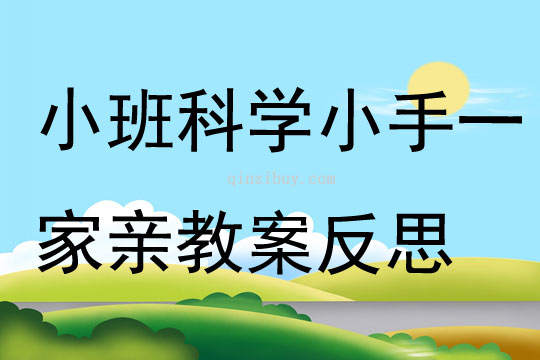 小班科學小手一家親教案反思