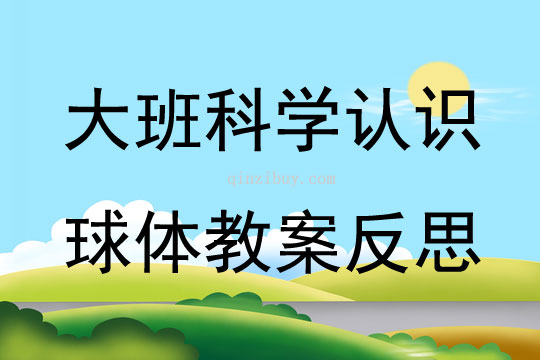 大班科學認識球體教案反思