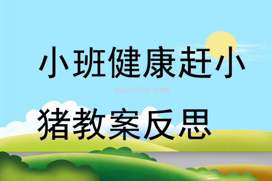 小班健康優質課趕小豬教案反思