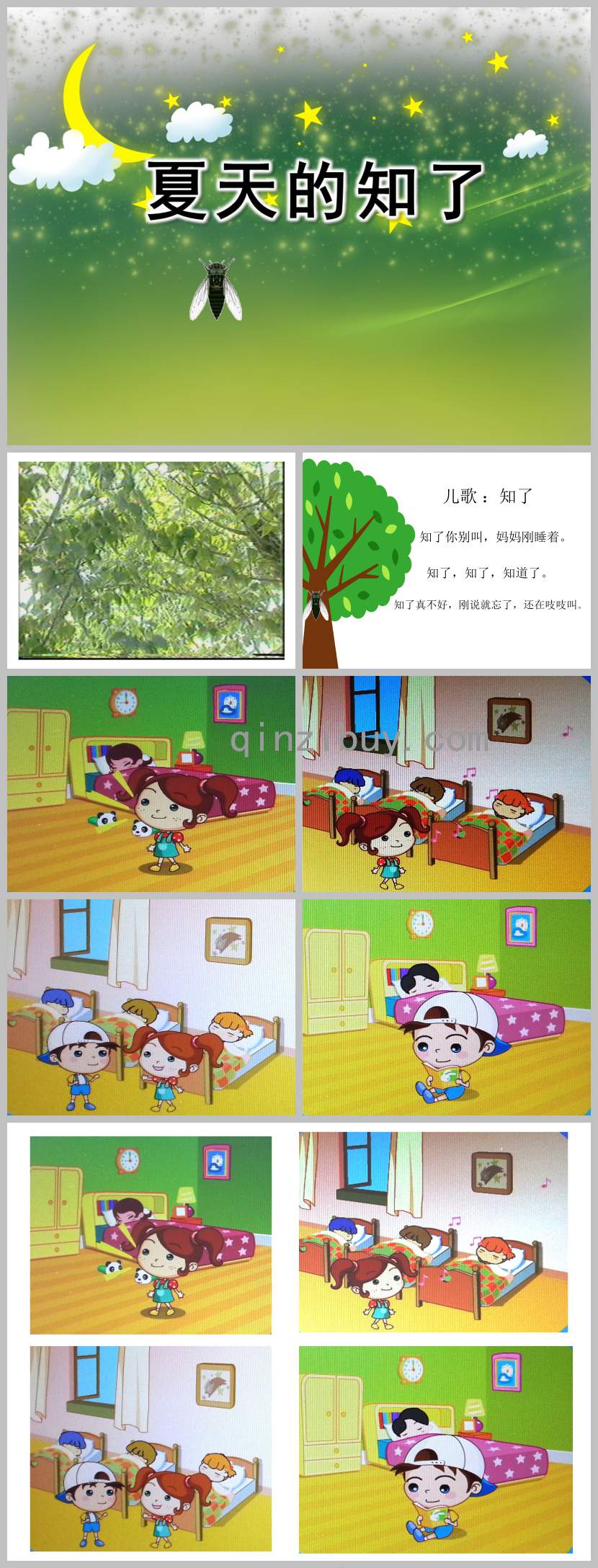 夏天的知了PPT課件教案圖片