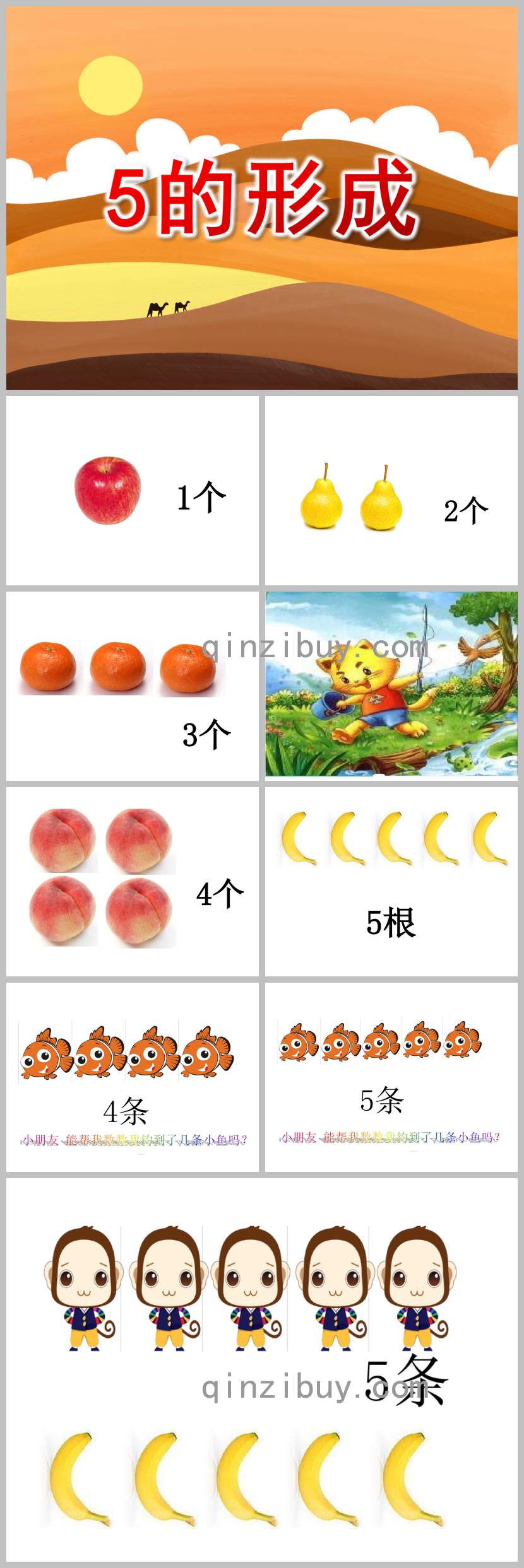 5的形成PPT課件教案圖片