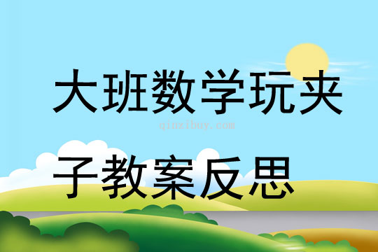 大班數學公開課玩夾子教案反思