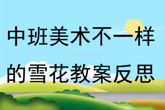 中班美術不一樣的雪花教案反思