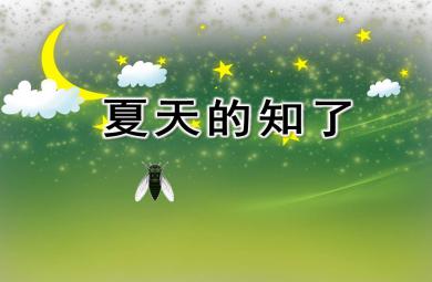 夏天的知了PPT課件教案圖片