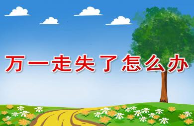 走失了怎么辦PPT課件教案圖片