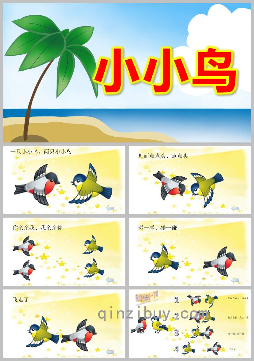 小小鳥PPT課件教案圖片