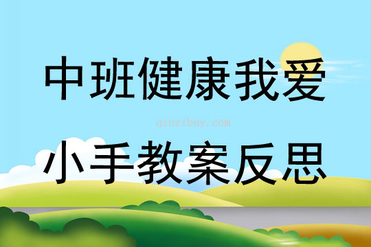 幼兒園中班健康優質課我愛小手教案反思