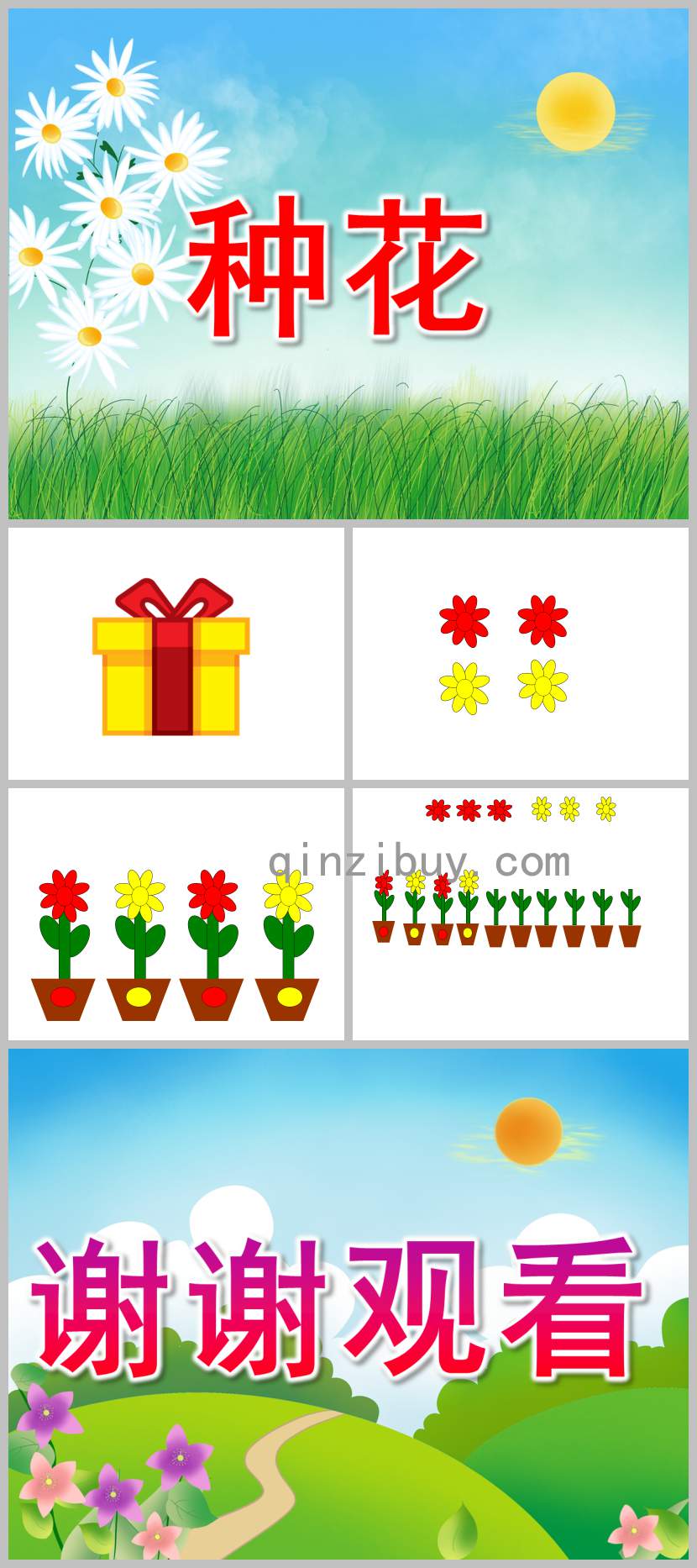中班數(shù)學(xué)種花PPT課件教案