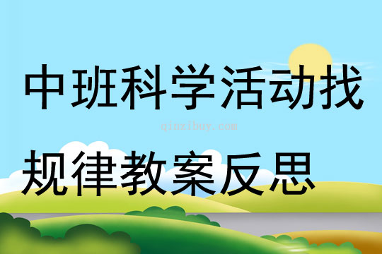 中班科學活動找規(guī)律教案反思