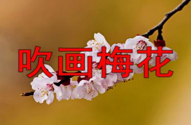 吹畫梅花PPT課件教案圖片