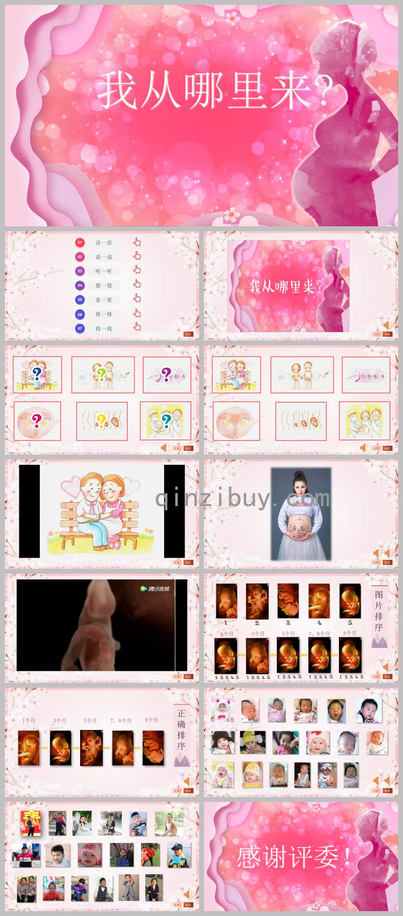 大班科學活動我從哪里來PPT課件教案