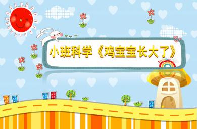小班科學雞寶寶長大了PPT課件教案