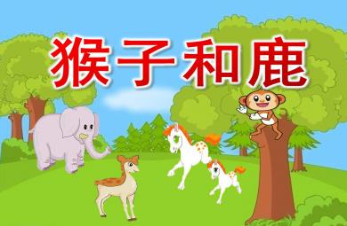 中班社會猴子和鹿PPT課件教案