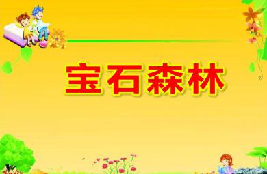 大班數學規律排序寶石森林PPT課件教案