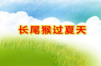 小班科學長尾猴過夏天PPT課件教案