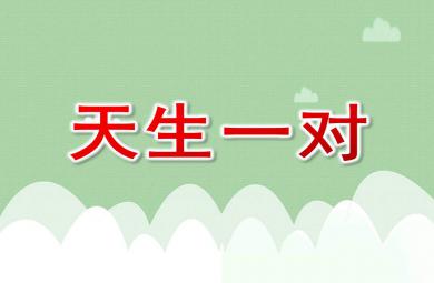 大班語(yǔ)言活動(dòng)天生一對(duì)PPT課件教案