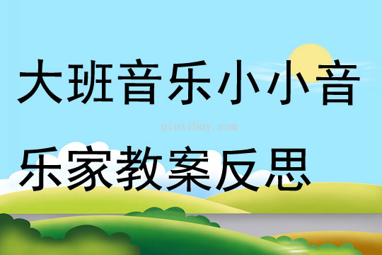 大班音樂小小音樂家教案反思