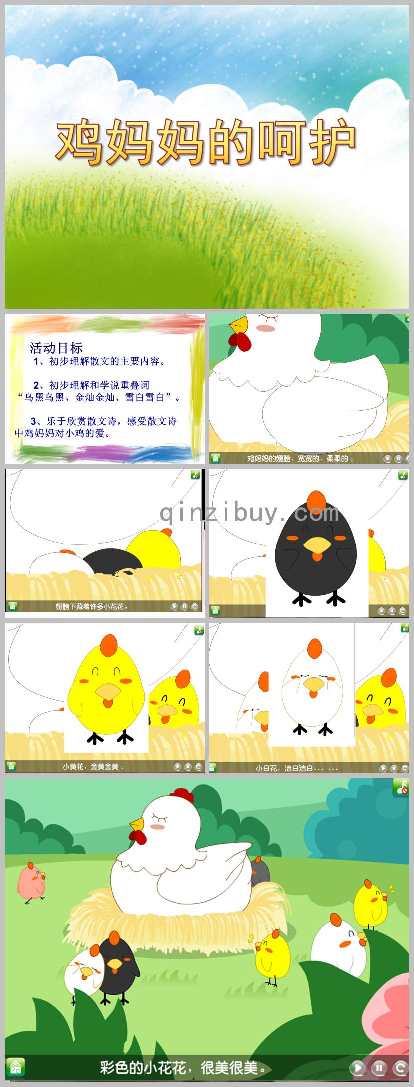 幼兒園母親節課件雞媽媽的呵護PPT課件教案