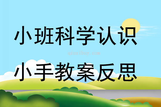 小班科學(xué)認(rèn)識小手教案反思