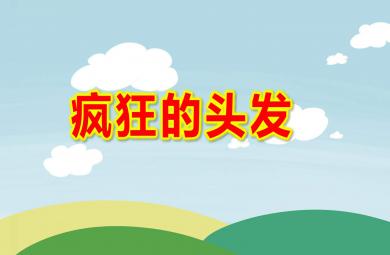 中班美術(shù)瘋狂的頭發(fā)PPT課件教案