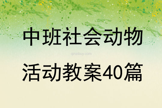 中班社會動物活動教案40篇