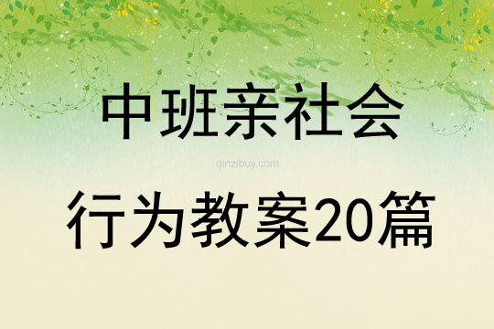 中班親社會行為教案20篇