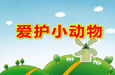 小班社會課件愛護小動物PPT課件教案