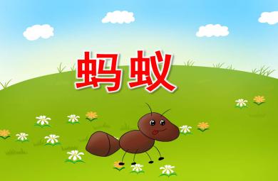 幼兒園螞蟻PPT課件教案圖片
