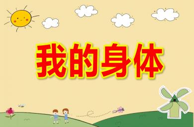 中班藝術(shù)舞蹈我的身體PPT課件教案