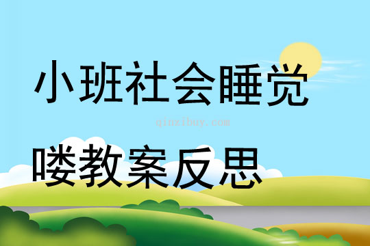 幼兒園小班社會睡覺嘍教案反思