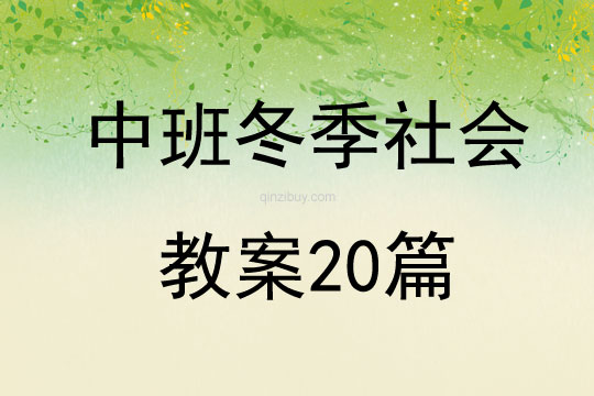 中班冬季社會教案20篇