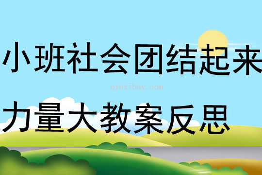 小班社會團結起來力量大教案反思