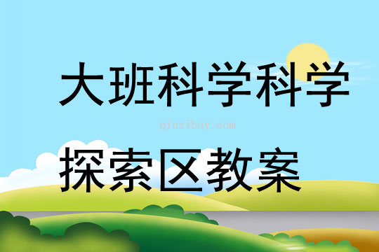 大班科學(xué)科學(xué)探索區(qū)教案