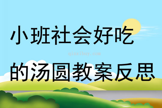 小班社會好吃的湯圓教案反思