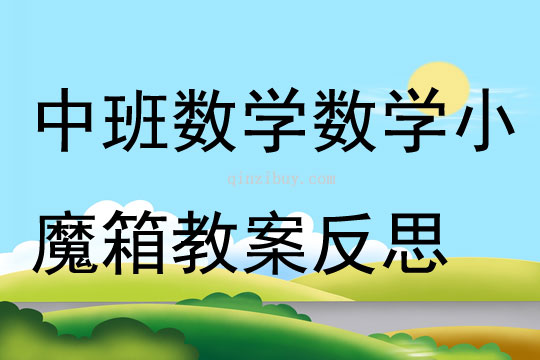 中班數學數學小魔箱教案反思