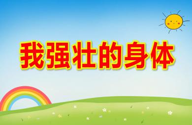 中班健康我強壯的身體PPT課件教案