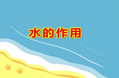 小班健康水的作用PPT課件教案