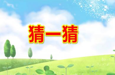小班數(shù)學(xué)游戲猜一猜PPT課件教案