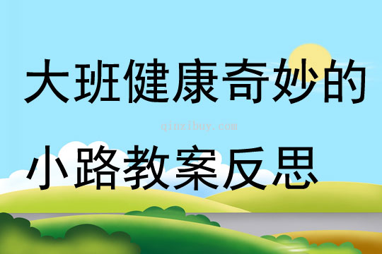 大班健康奇妙的小路教案反思