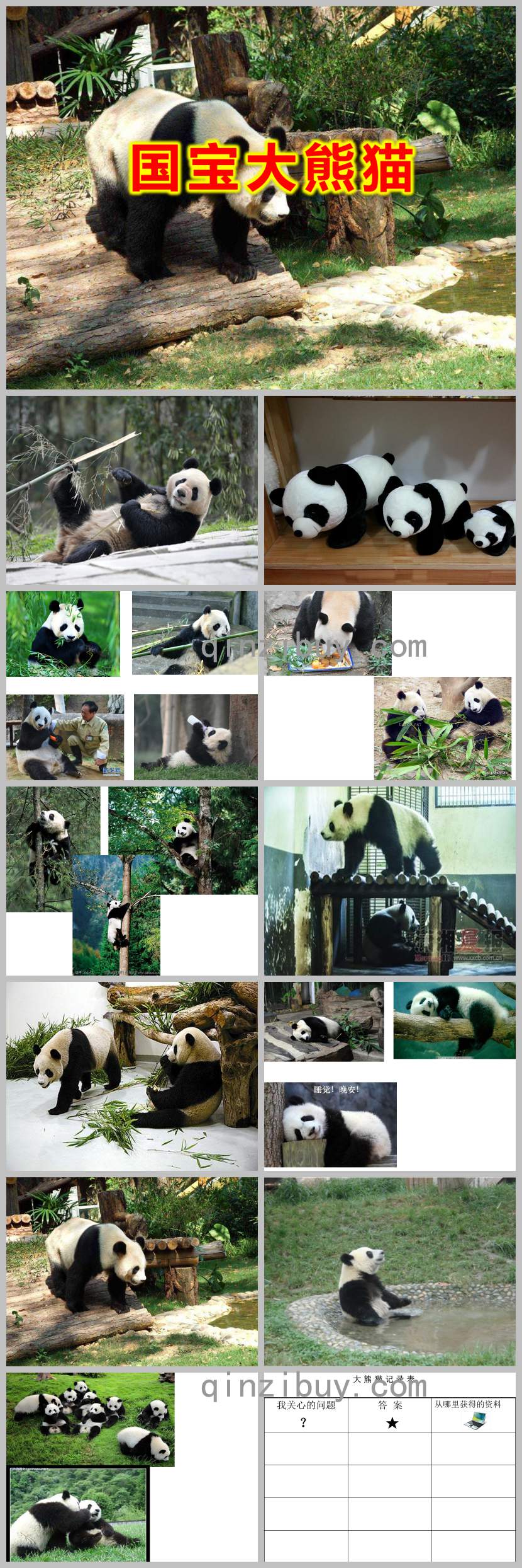 大班科學活動國寶大熊貓PPT課件教案