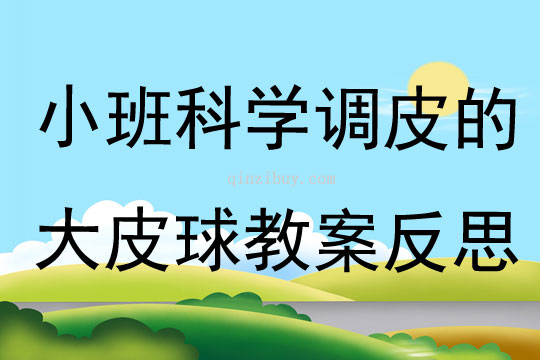 小班科學優質課調皮的大皮球教案反思