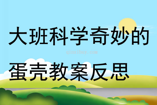 大班科學優質課奇妙的蛋殼教案反思