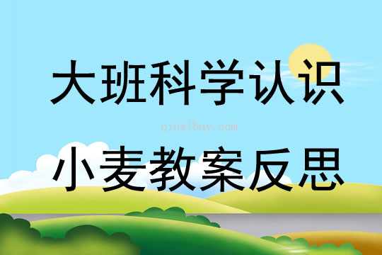 大班科學公開課認識小麥教案反思