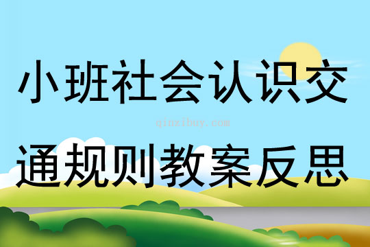 小班社會認識交通規則教案反思
